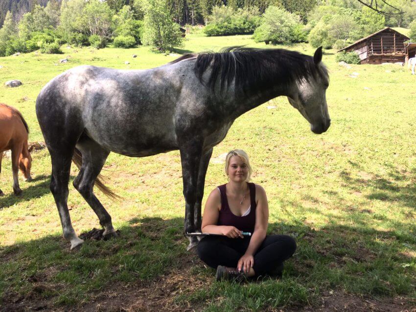 Einzelcoaching mit Pferd, Erfahrungsbericht von Nicole